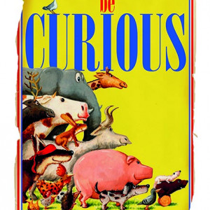 Be Curious