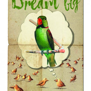 Dream Big